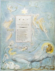 Le poesie di Gray da William Blake